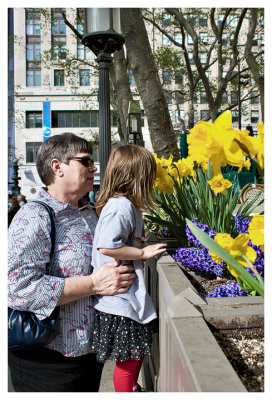 Flowers in Bryant Park