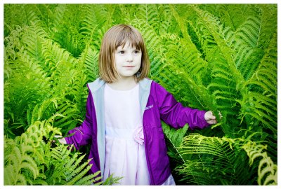 Serious matters in the ferns