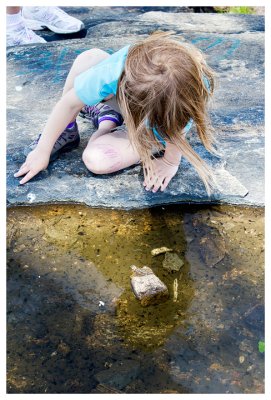 Observing the tadpoles