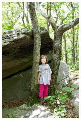 An interesting rock and trees