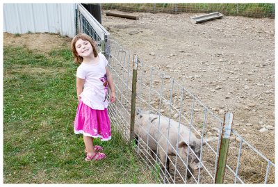 Checking out the pigs at Sprout Creek Farm