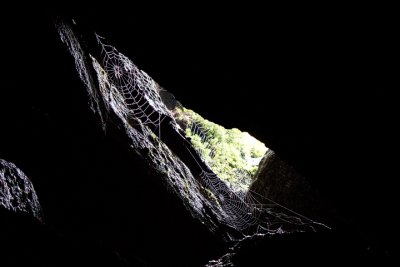 Spider hot spot