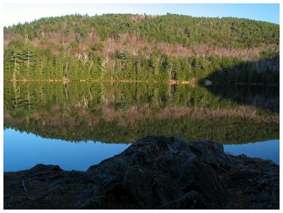 Early Morning Reflection