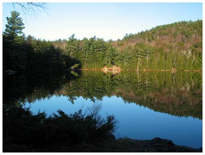 Early Morning Reflection