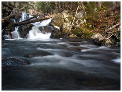 Siamese Stream - Adirondacks