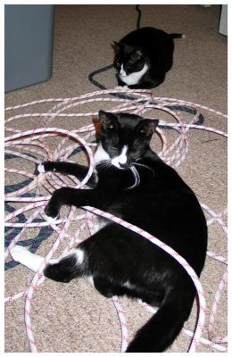 g4/62/235762/3/60297899.linus_lucy_rope_pbase.jpg