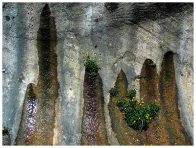 Calf Creek Canyon Wall