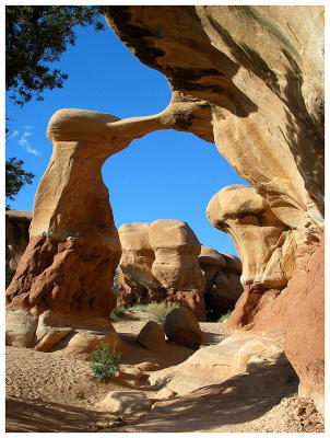 Metate Arch