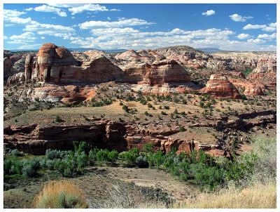 Escalante View