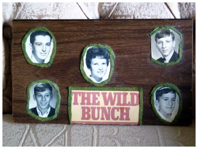 The Wild Bunch