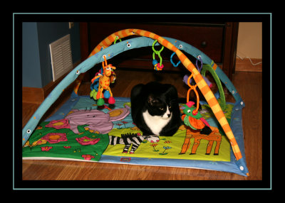 Linus thinks it's his playmat