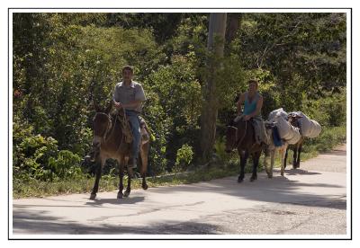 From Playa Larga to Trinidad