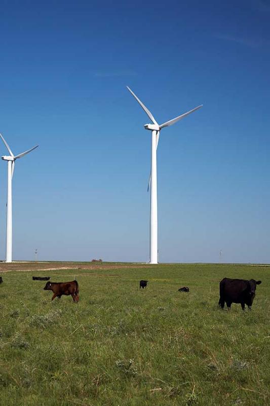0953 Beaumont Wind Farm.jpg