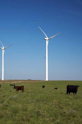 0953 Beaumont Wind Farm.jpg