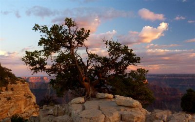 587 Grand Canyon Bright Angel Point Sunset 12.jpg