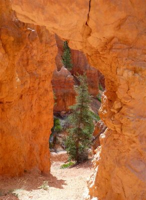 162 Bryce Canyon Navajo Queens Hike 37.jpg