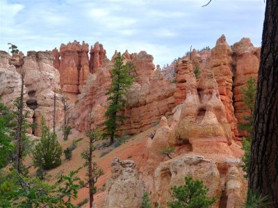 206 Bryce Canyon Mossy Cave 19.jpg