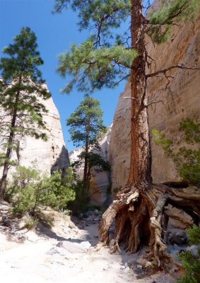 839 Tent Rocks.jpg