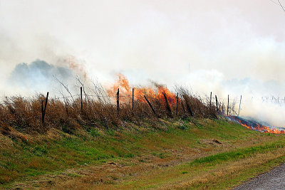 FM368 Grass Fire 04/15/2011