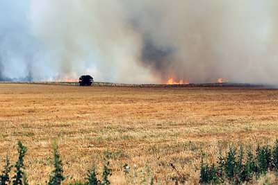 Grass Fire  05/29/2012