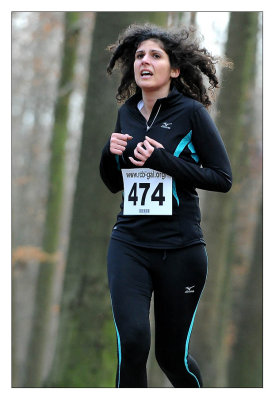 20120114d700__511.jpg