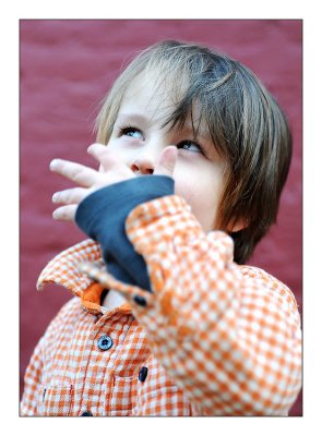 20120328d700_290.jpg