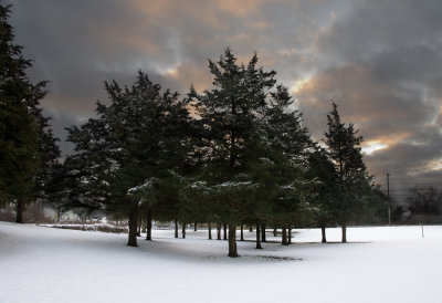Dexter Mill Park