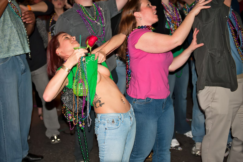 Bourbon Street Rose