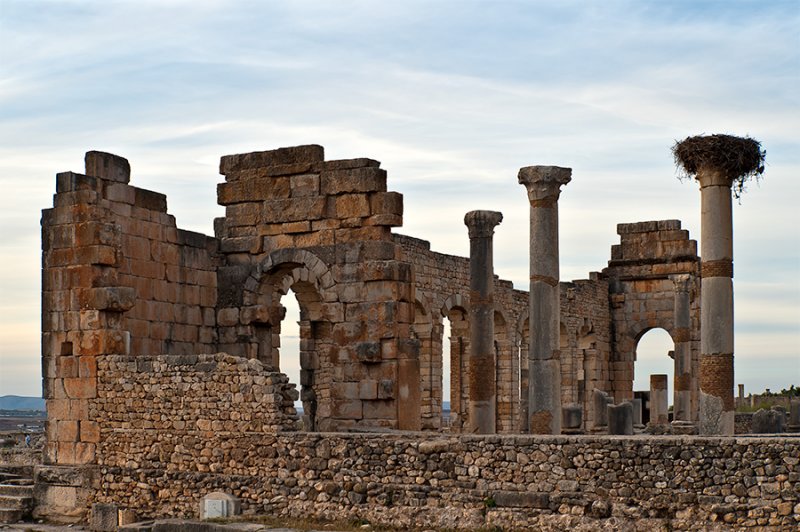Basilica Ruins In Volubilis