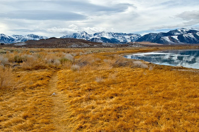 Mono Lake And Sierra Nevada Mts