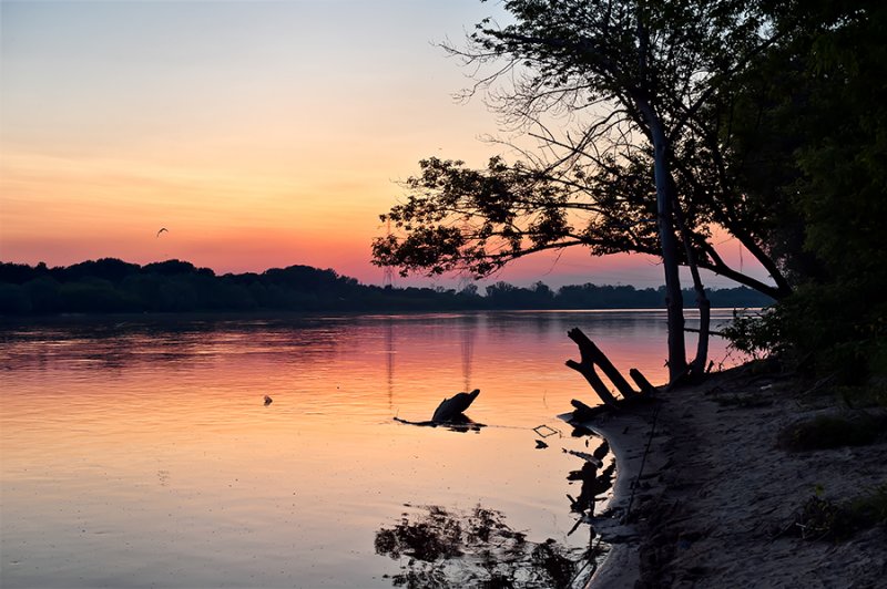 Vistula River At Sunset