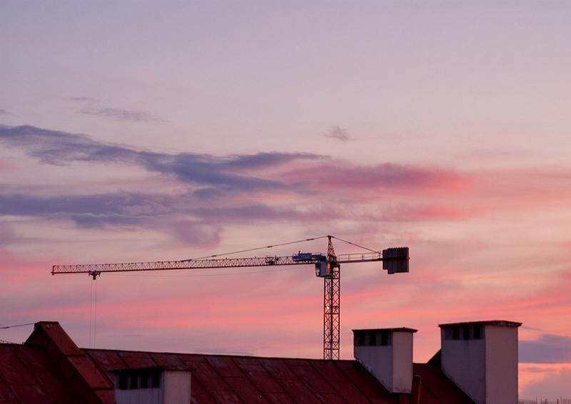 Crane Among Pinks