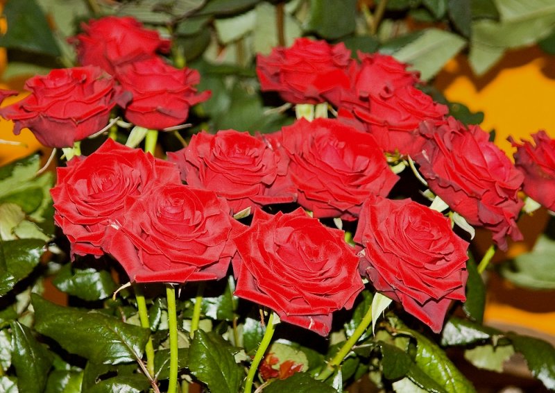  Buying Her Roses