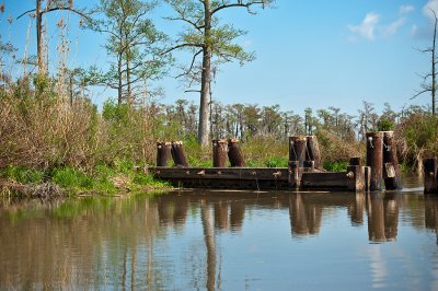 Bayou In March