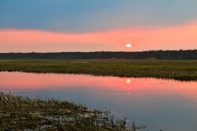 Biebrza River Sunset