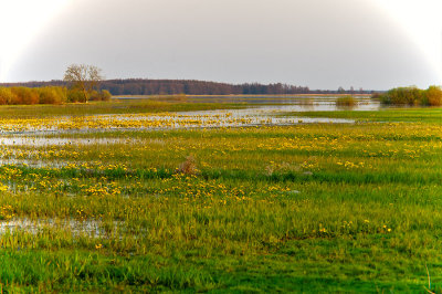 Biebrza River Wetlands