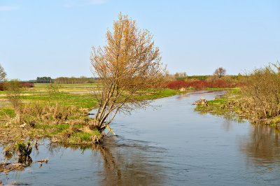 Biebrza River