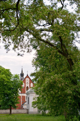 Old Church, Old Tree