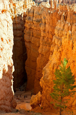 Walking The Wall Street In Bryce Canyon