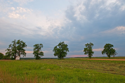 Evening Landscape