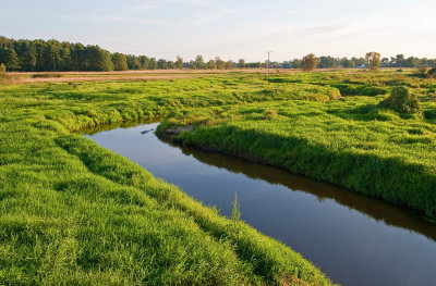 River In Green Fields