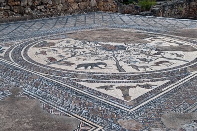 Mosaic In House Of Orpheus, Volubilis