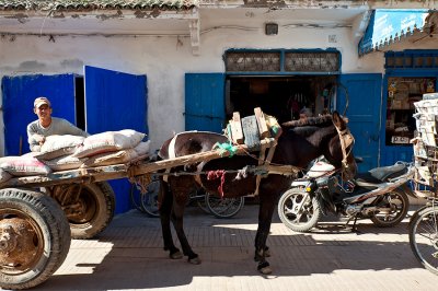 Street Life In Essaouira