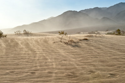 Sandstorm In Mesquite Dunes