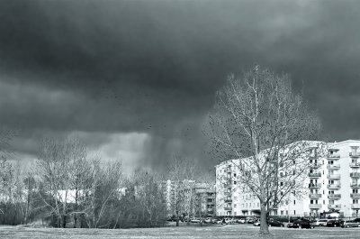 Rain Approaching