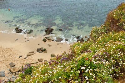 Flowers, Stones, Sand, Ocean And A Man
