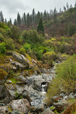 Creek Along Route 140