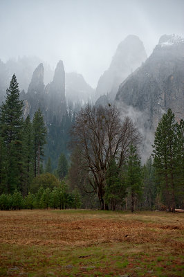 Cathedral Spires And Cathedral Rocks