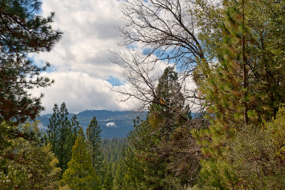 Chilnualna Falls Trail View