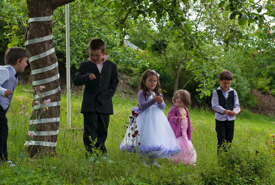 Children At The Wedding